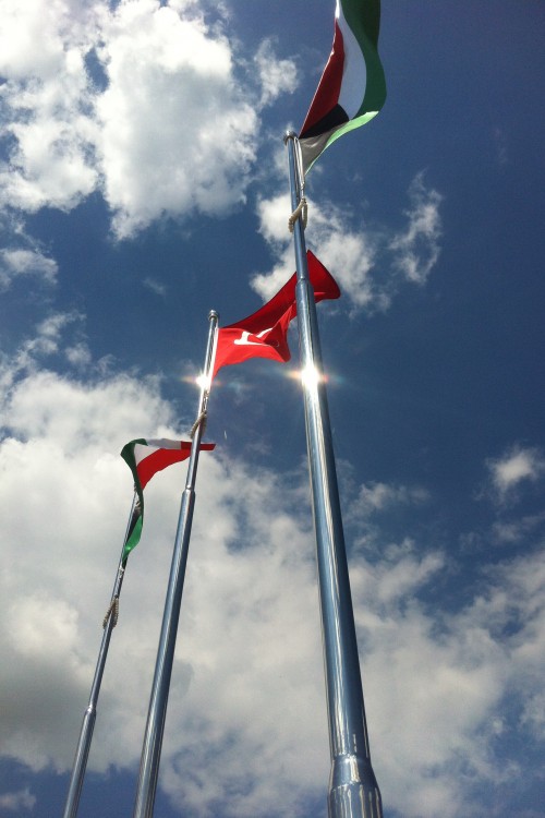 Bayrak Diregi Yoneteligi